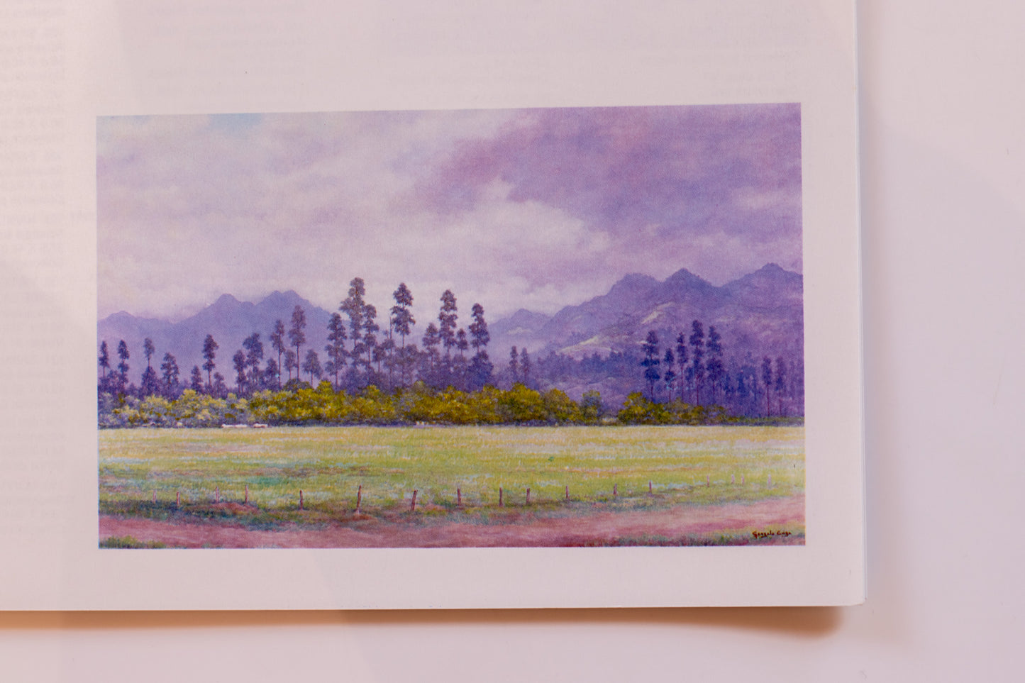 Un biografo de la naturaleza de Gonzalo Ariza