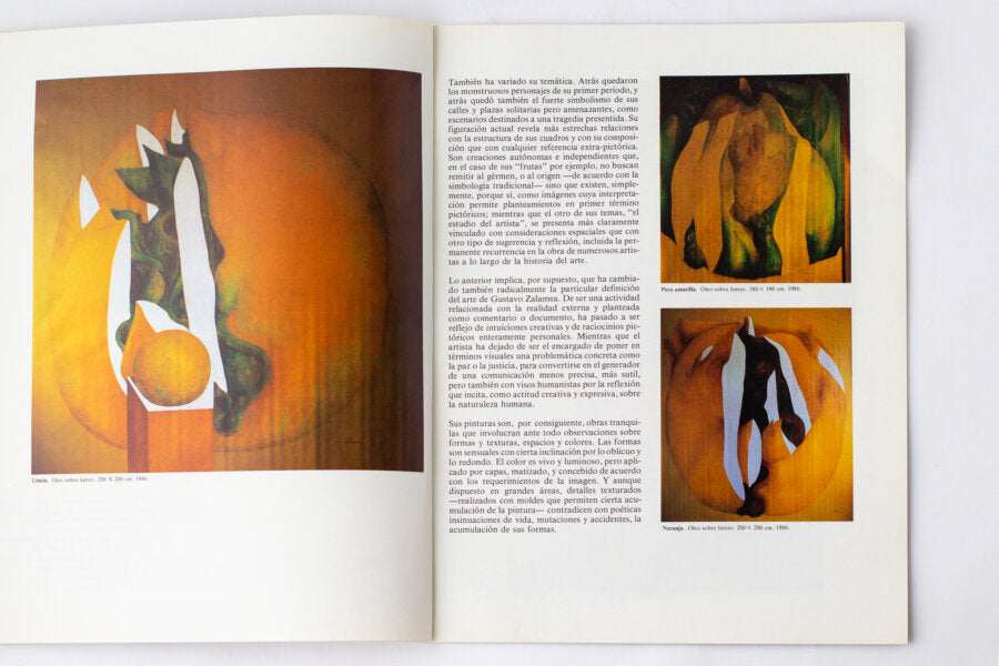 Catálogo Gustavo Zalamea