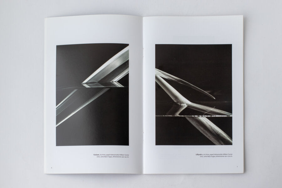 Imagen de Carlos Domenech