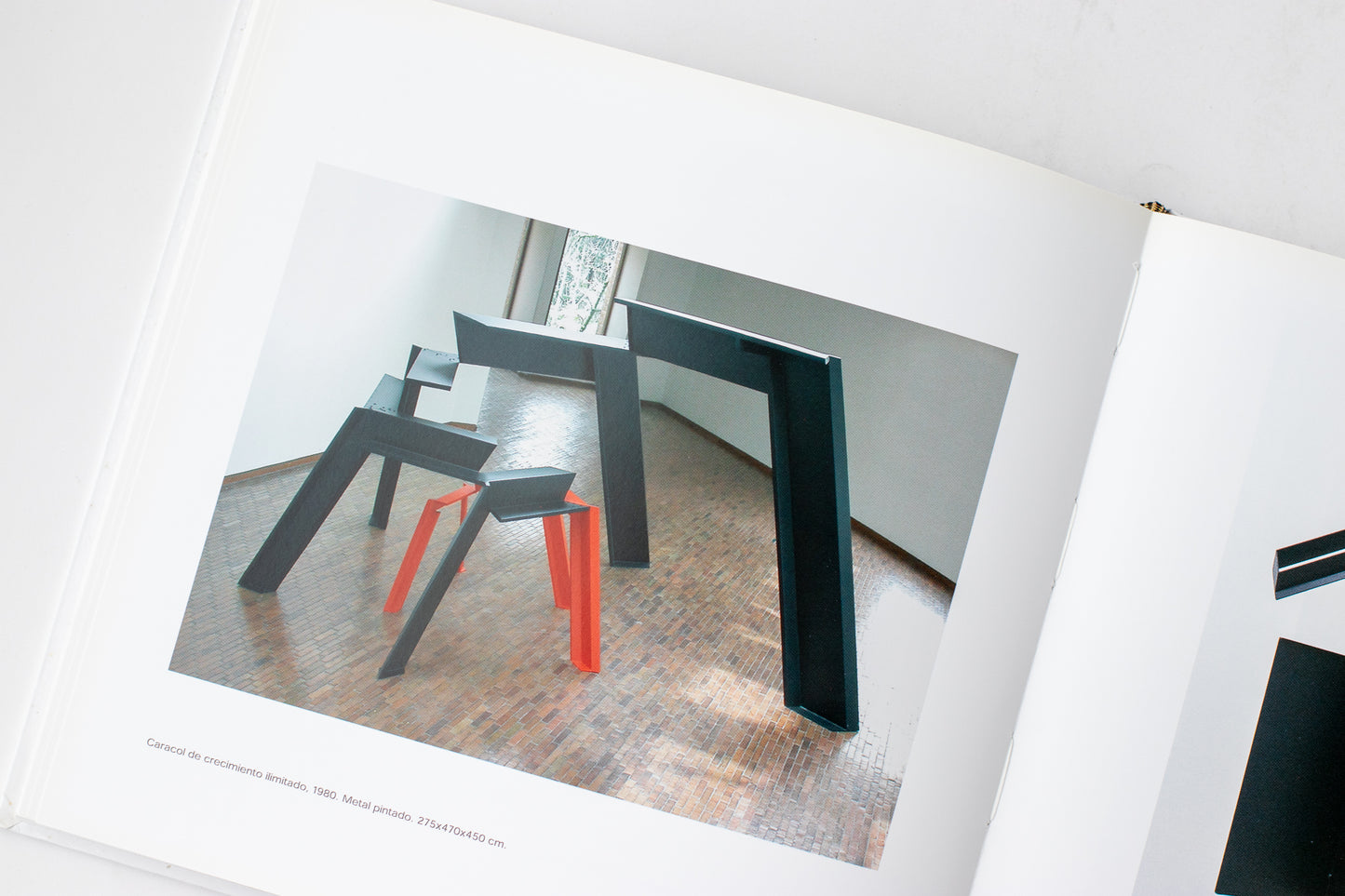 Libro Exposición Retrospectiva Eduardo Ramírez Villamizar