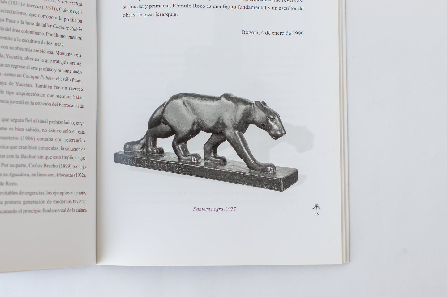 Romulo Rozo, Sincretismo