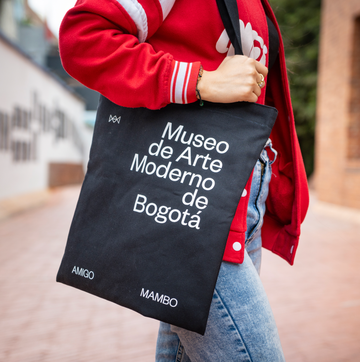 Membresía anual Amigo Arte