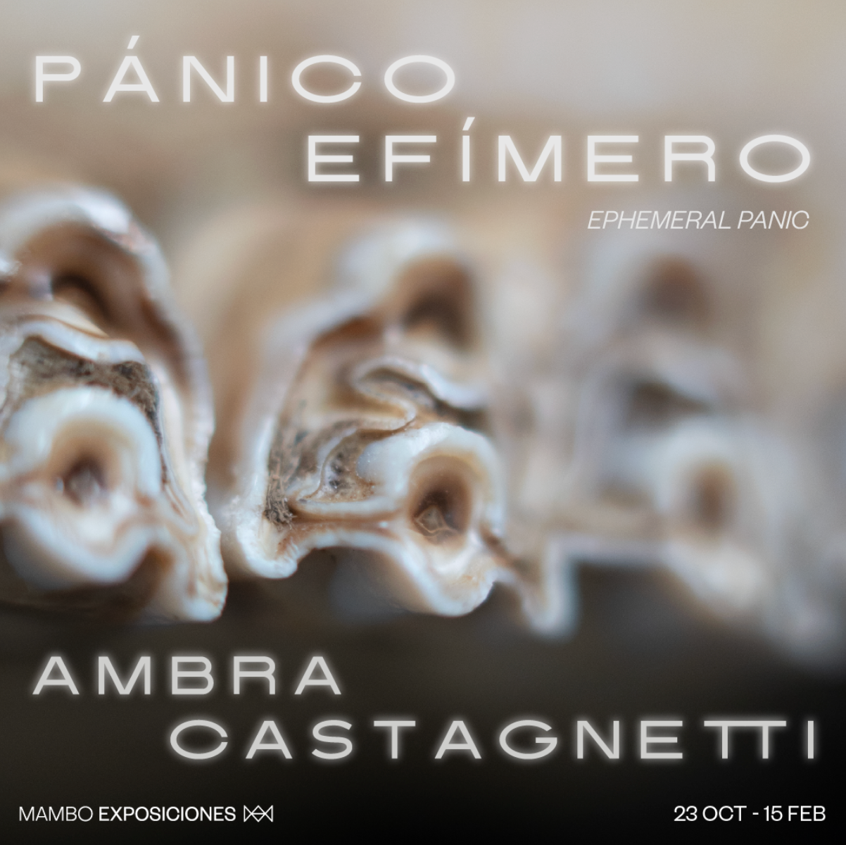 Entradas MAMBO