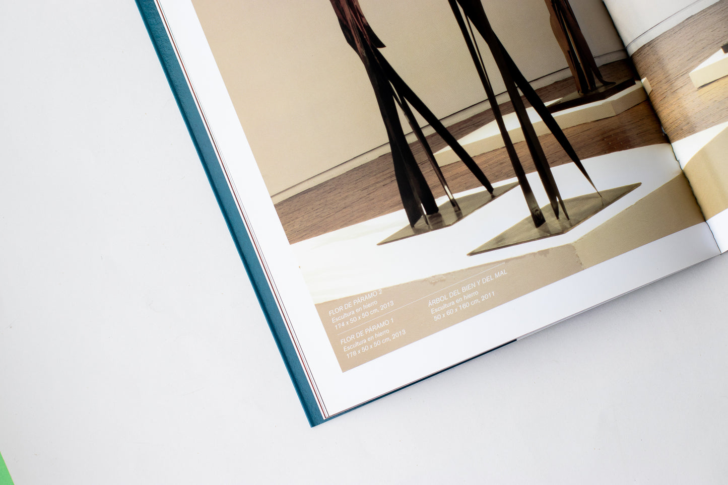 Libro Gustavo Vejarano sobrevuelo