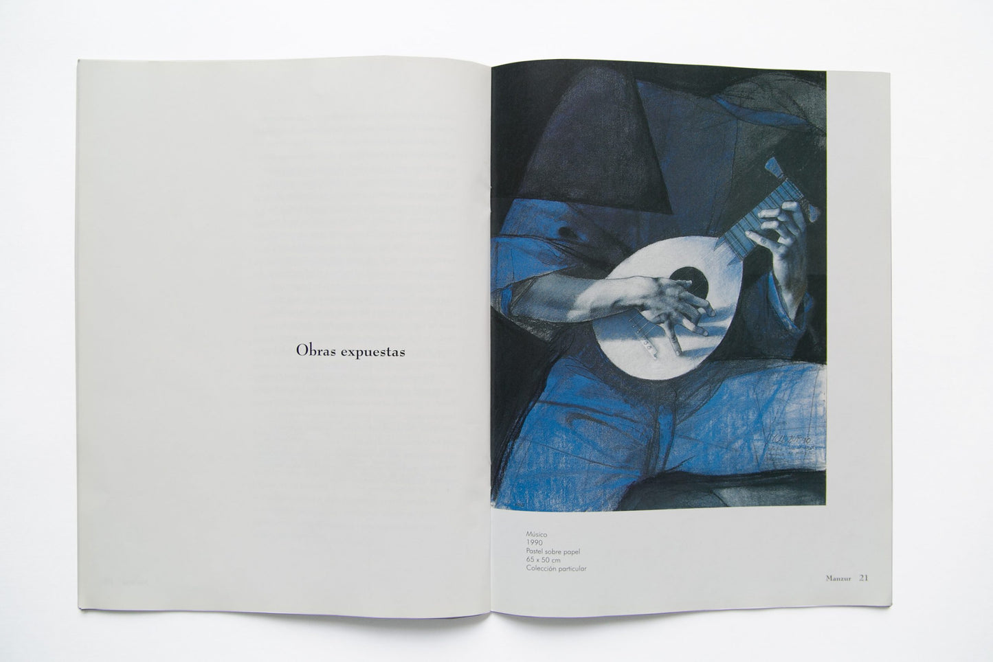 Libro Un pez en mi estancia. David Manzur.