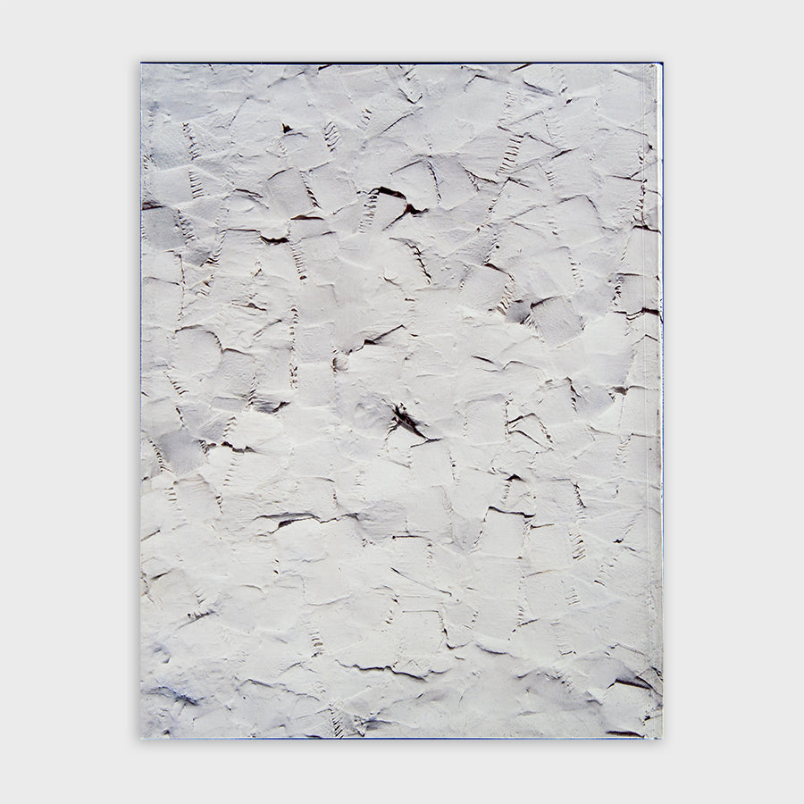 Libro Olga de Amaral