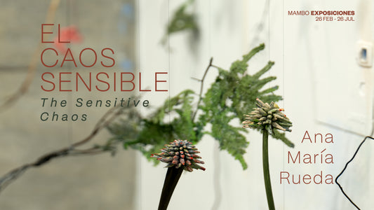 Entradas MAMBO