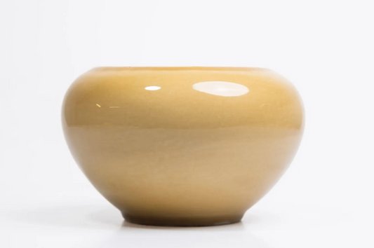 Bowl Tagua