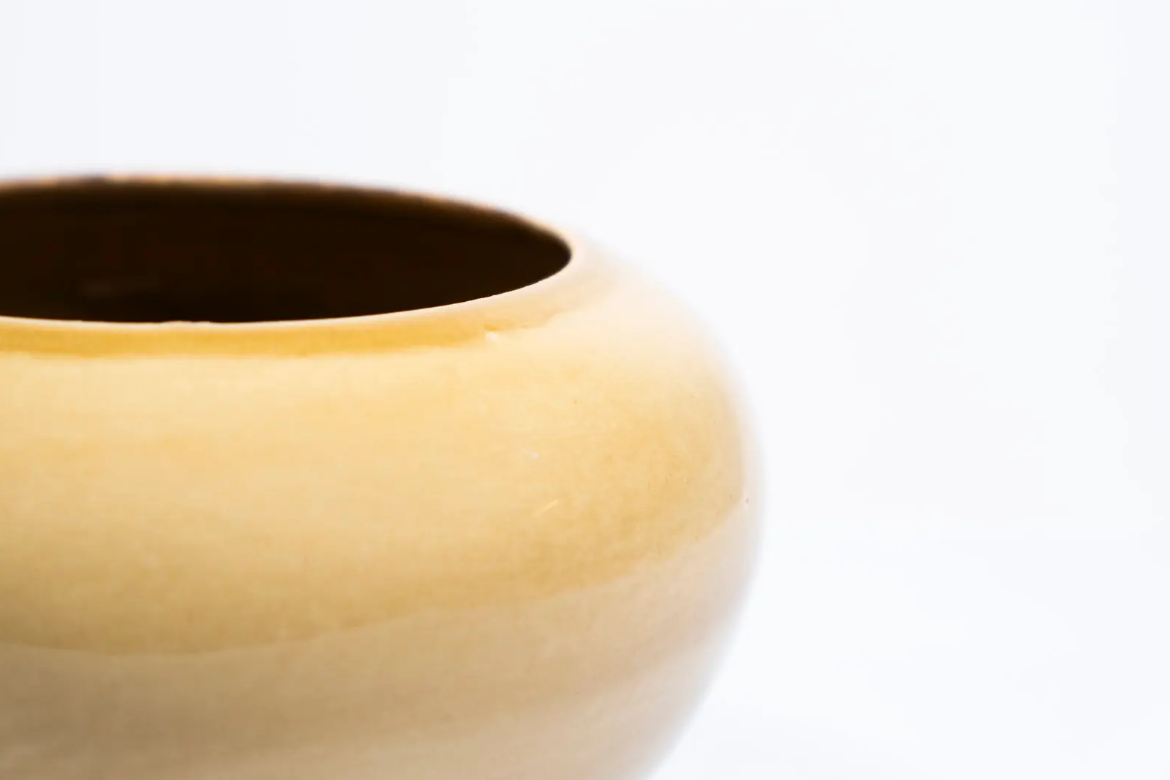 Bowl Tagua