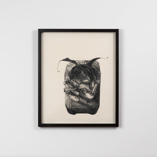 Obra de Didier Bedoya