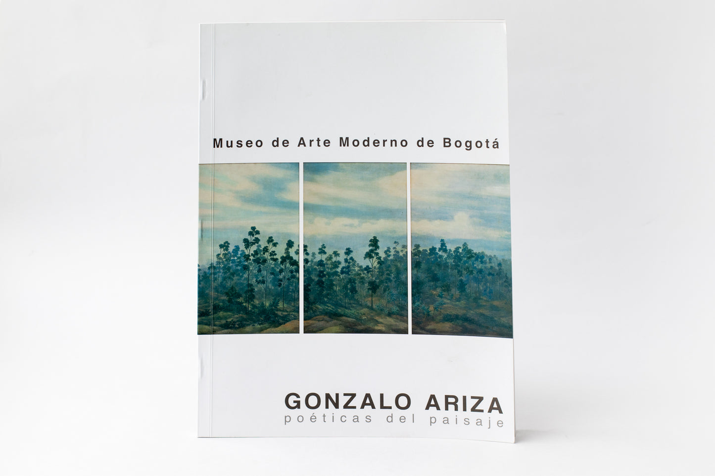 Catálogo Gonzalo Ariza Poéticas del Paisaje