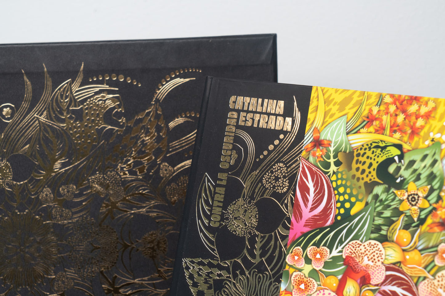 Libro Contra la oscuridad de Catalina Estrada