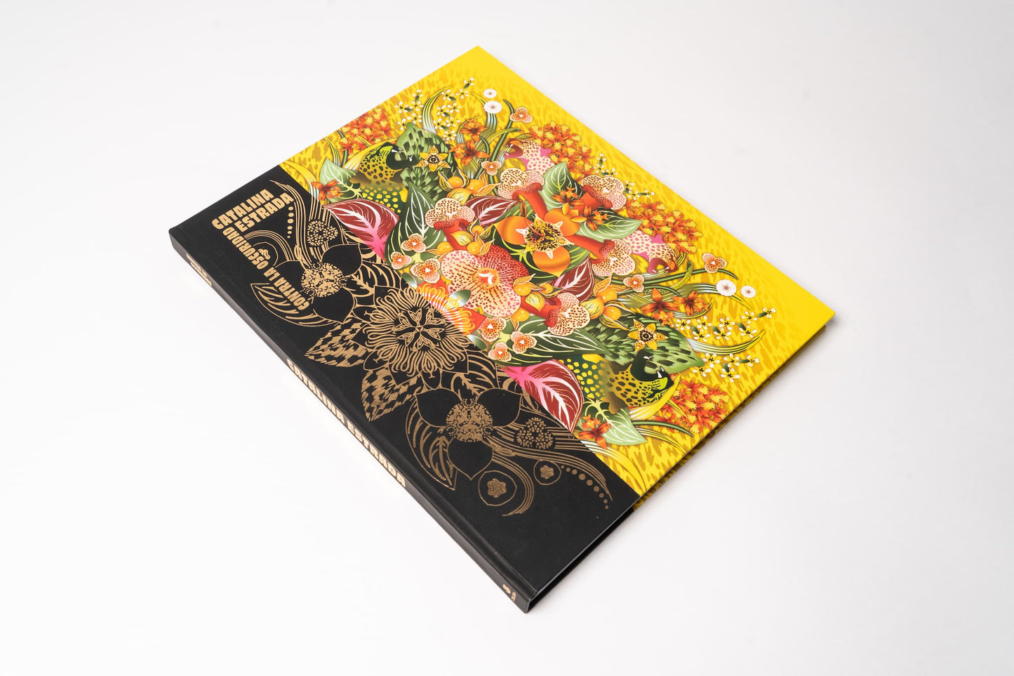 Libro Contra la oscuridad de Catalina Estrada