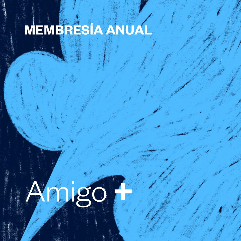 Amigo Colección