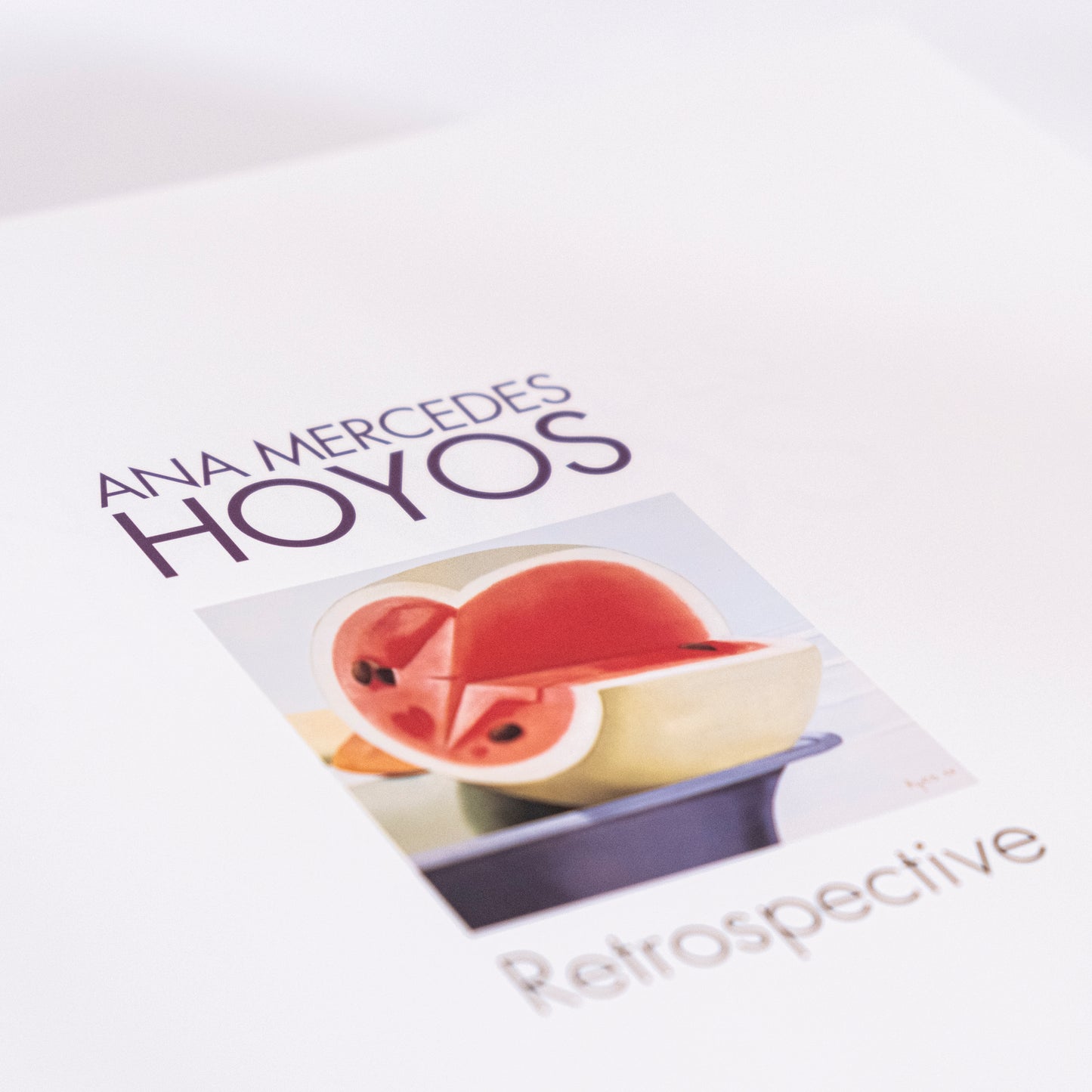 Libro Retrospectiva Ana Mercedes Hoyos