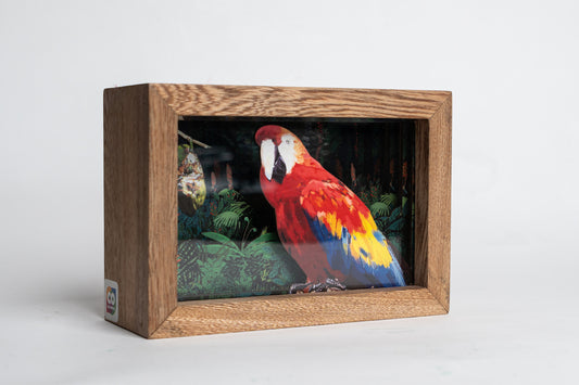 Joyas de Colombia - Guacamaya (Ara macao)