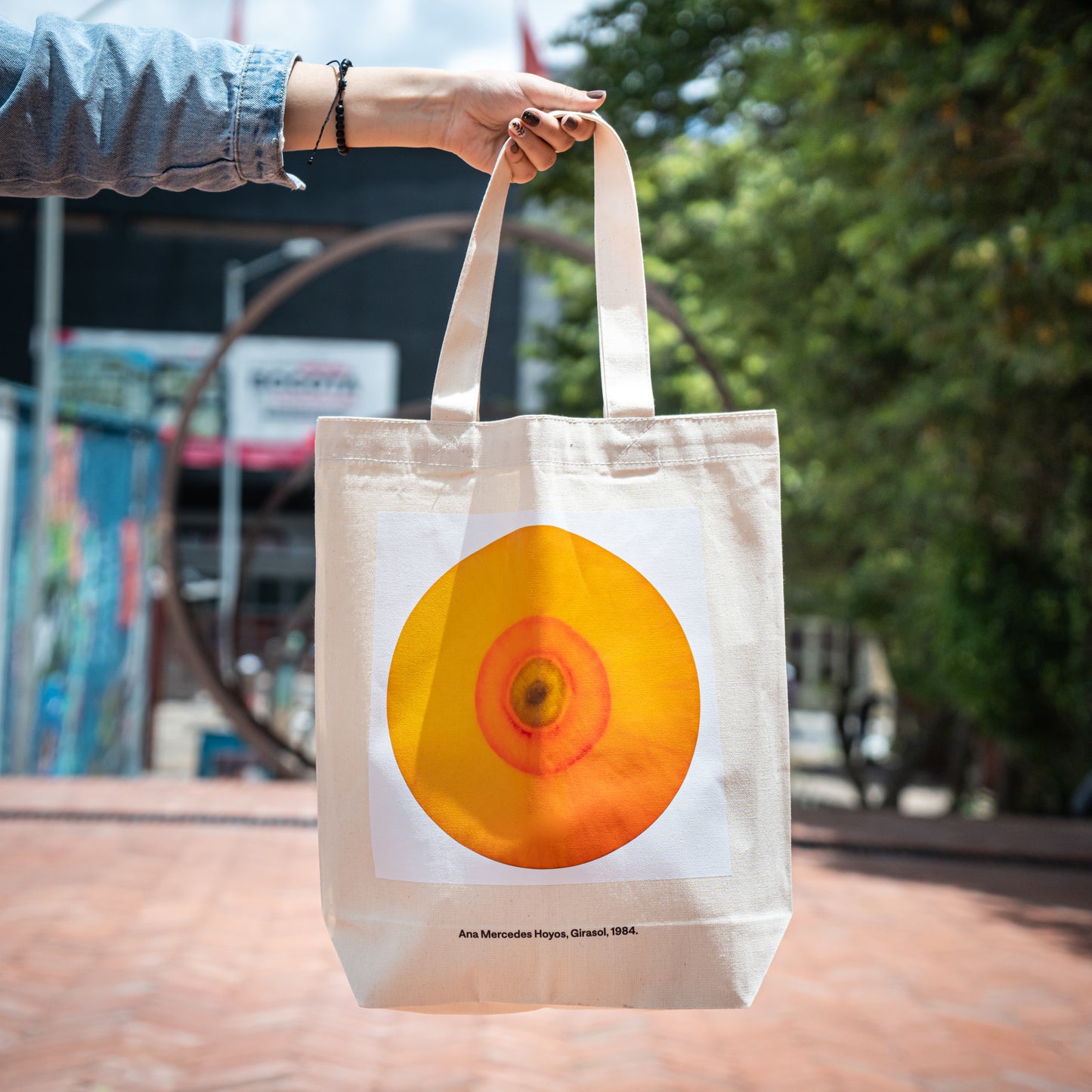 Tote Bag Desde La Ventana, Ana Mercedes Hoyos