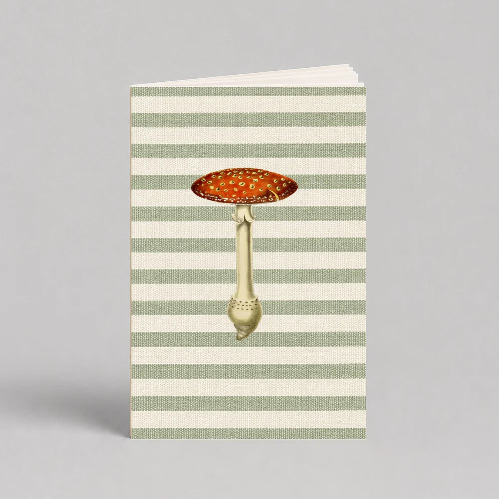 Notas de campo Mush | Escribana