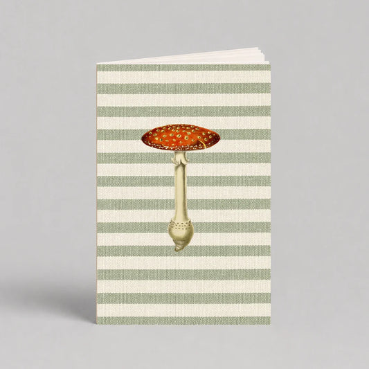 Notas de campo Mush | Escribana