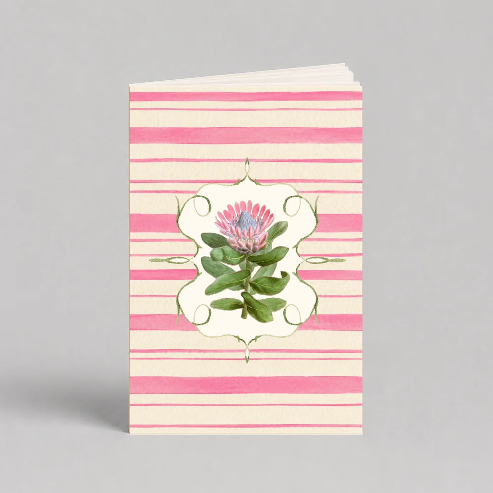 Notas de campo Protea | Escribana