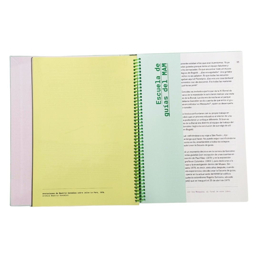 No sé a qué horas pinté - Beatriz González